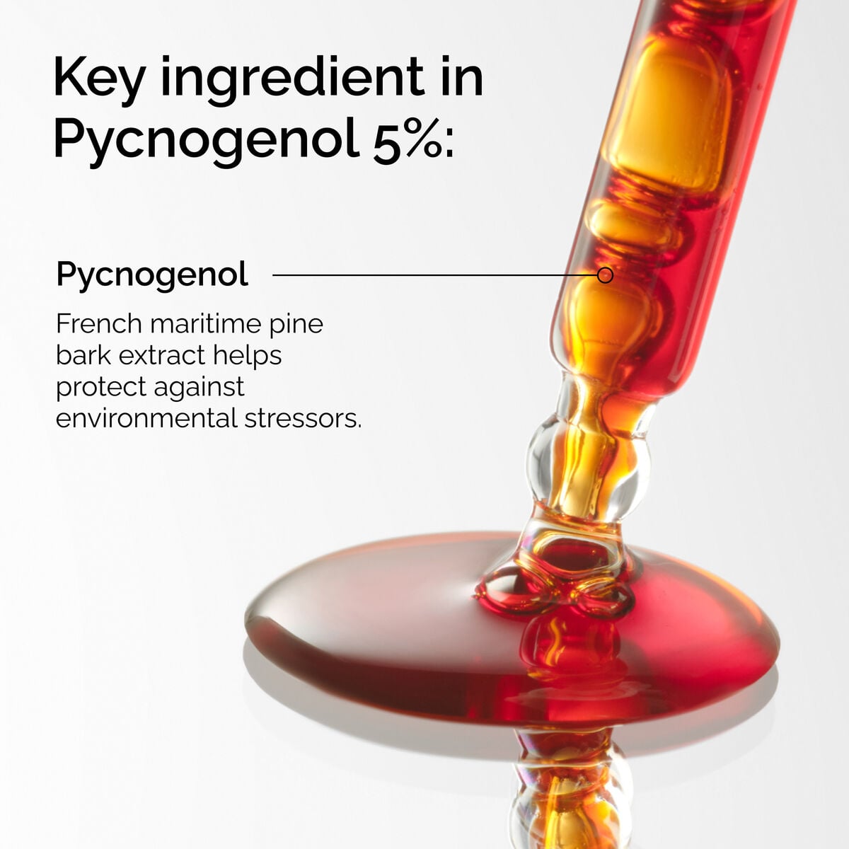 pycnogenol-5-k4 FY25-D41247-ORD-Web-PDP-Pyc-5pct-1x1-EN-2a.jpg