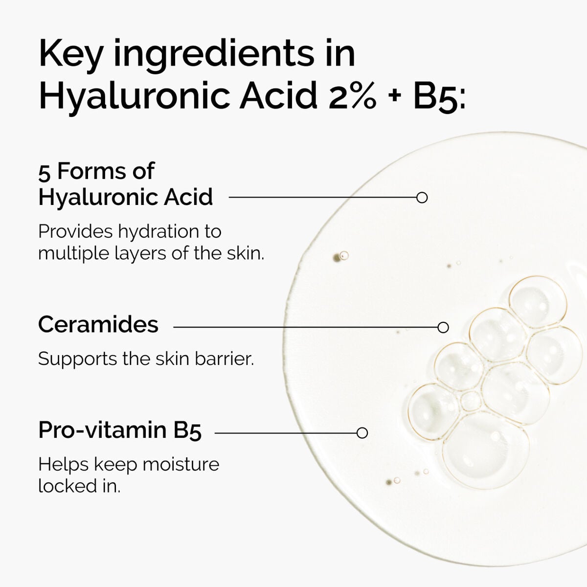 hyaluronic-acid-2-b5-with-ceramides-p9 ord-hyaluronic-acid-2pct-b5-hydrating-serum-ingredients-graphic.jpg