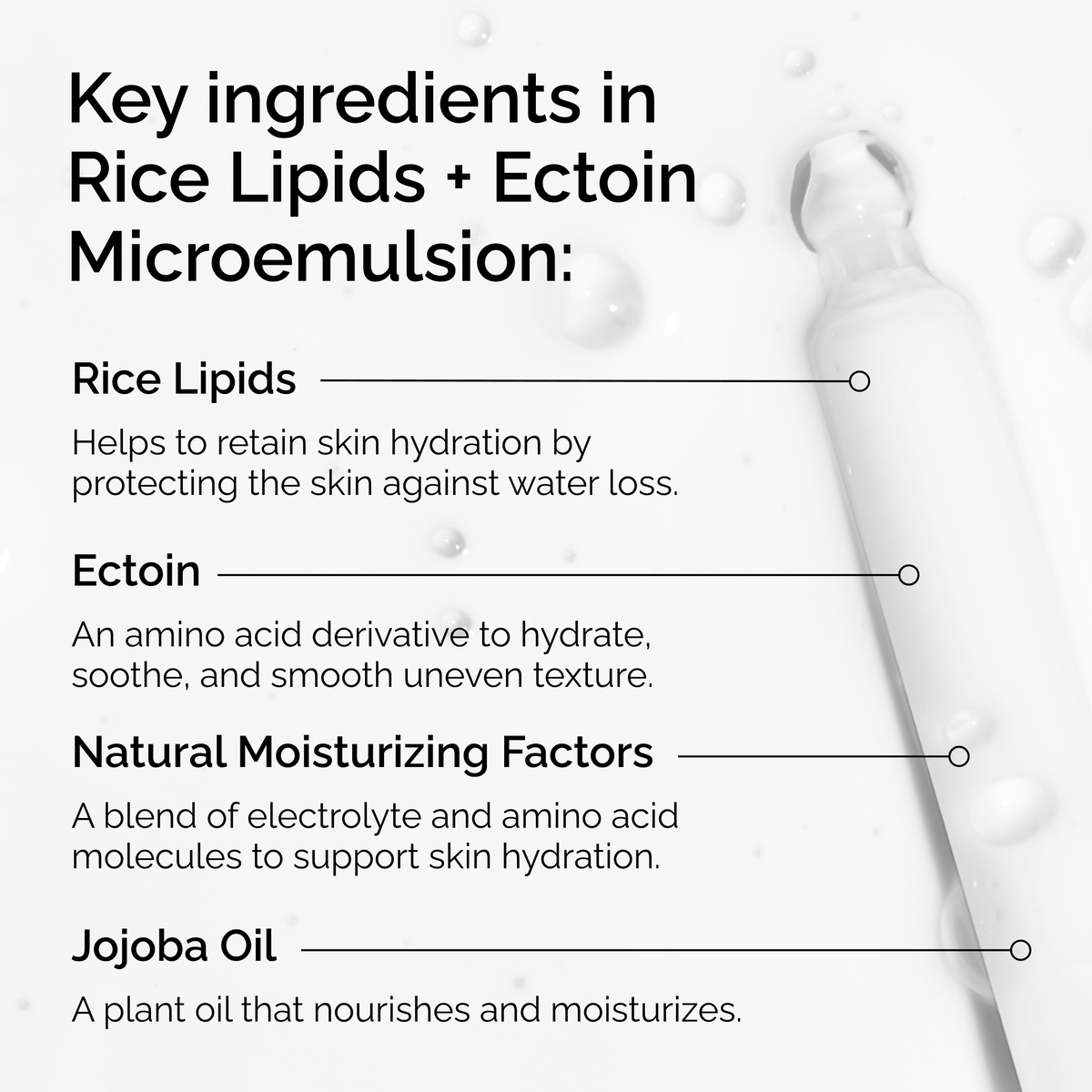 rice-lipids-ectoin-microemulsion-g0 ord-rice-lipids-ectoin-microemulsion-key-ingredients.png