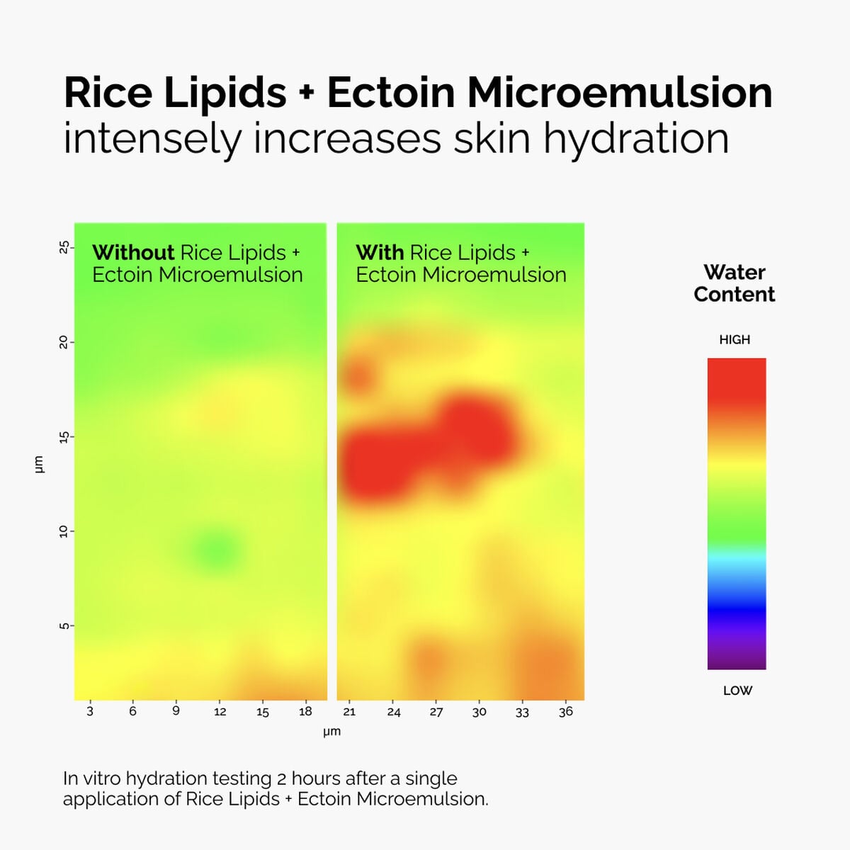 rice-lipids-ectoin-microemulsion-g0 ord-rice-lipids-ectoin-microemulsion-thermal-before-after.jpg